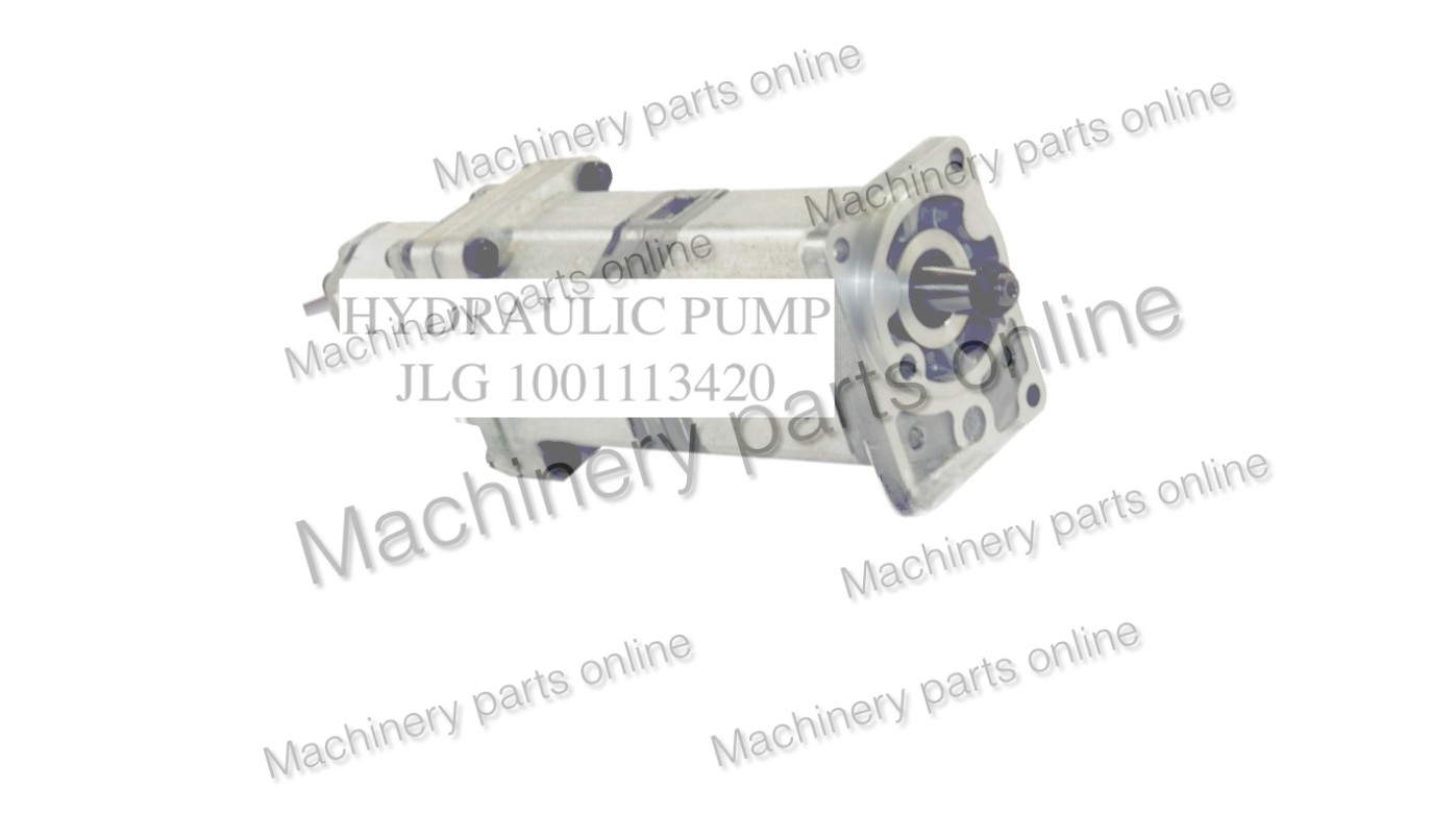 JLG1001113420